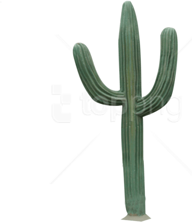 Free Png Download Cactus Png 4 Png Images Background - Cactus Png (480x640), Png Download