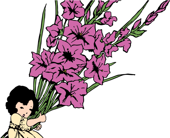 Gladiolus Clipart Cartoon - Illustration (640x480), Png Download