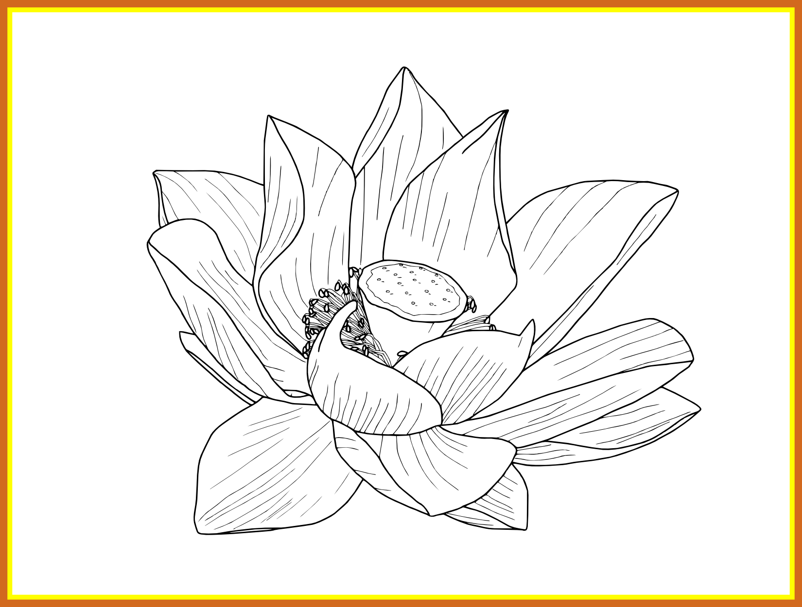 1650 X 1250 8 - Clip Art (1650x1250), Png Download