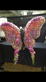 Butterfly (180x320), Png Download