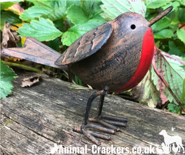 Tin Robin - Perching Bird (750x900), Png Download