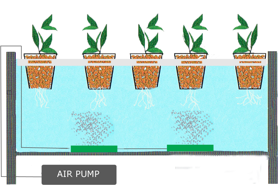Water-culture - Hydroponics With Air Pump (1055x684), Png Download