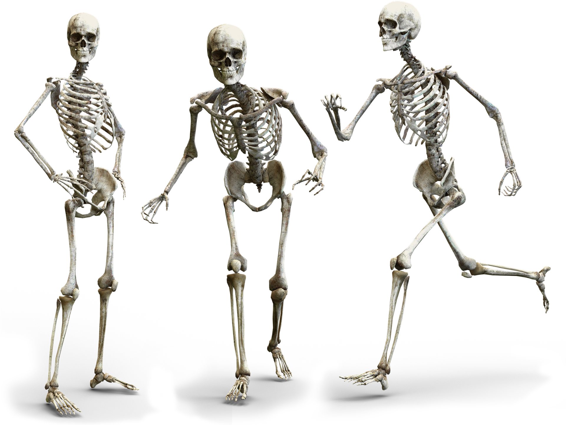 Happy Skeleton Family Does Not Need Over Hyped Consumer - Bones From Person (1920x1466), Png Download