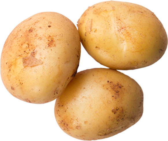 Potato - Yukon Gold Potato (866x650), Png Download