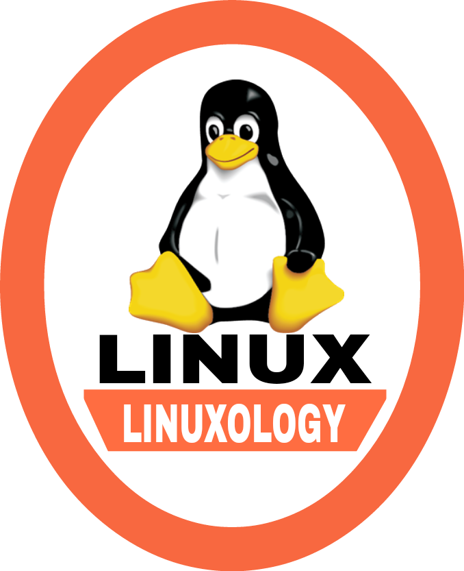 Adã©lie Penguin (678x833), Png Download