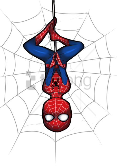 Free Png Download Spiderman Spider Web Png Images Background - Spider Man Cute Png (480x681), Png Download