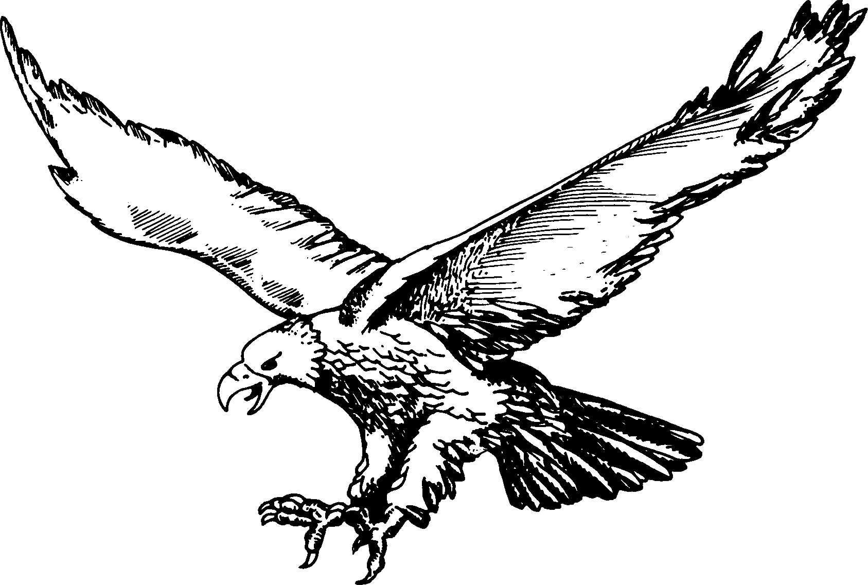 Image Result For Eagles - Olivet High School Logo (1687x1137), Png Download