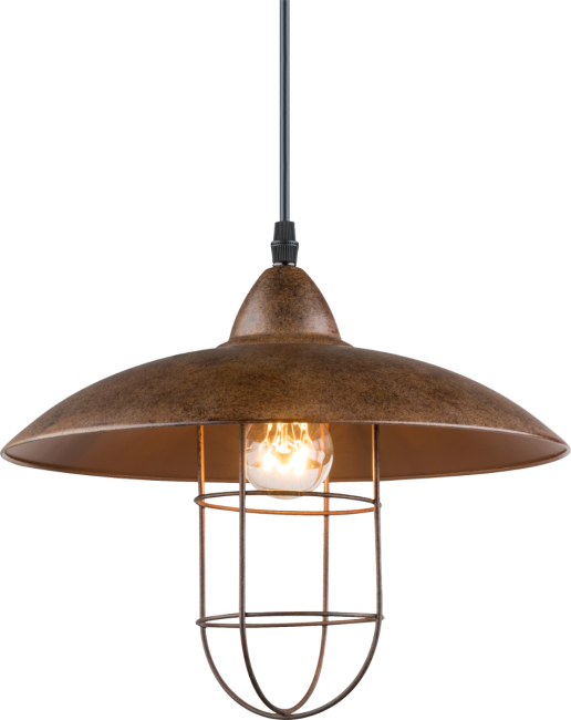 Ceiling Fixture (516x650), Png Download