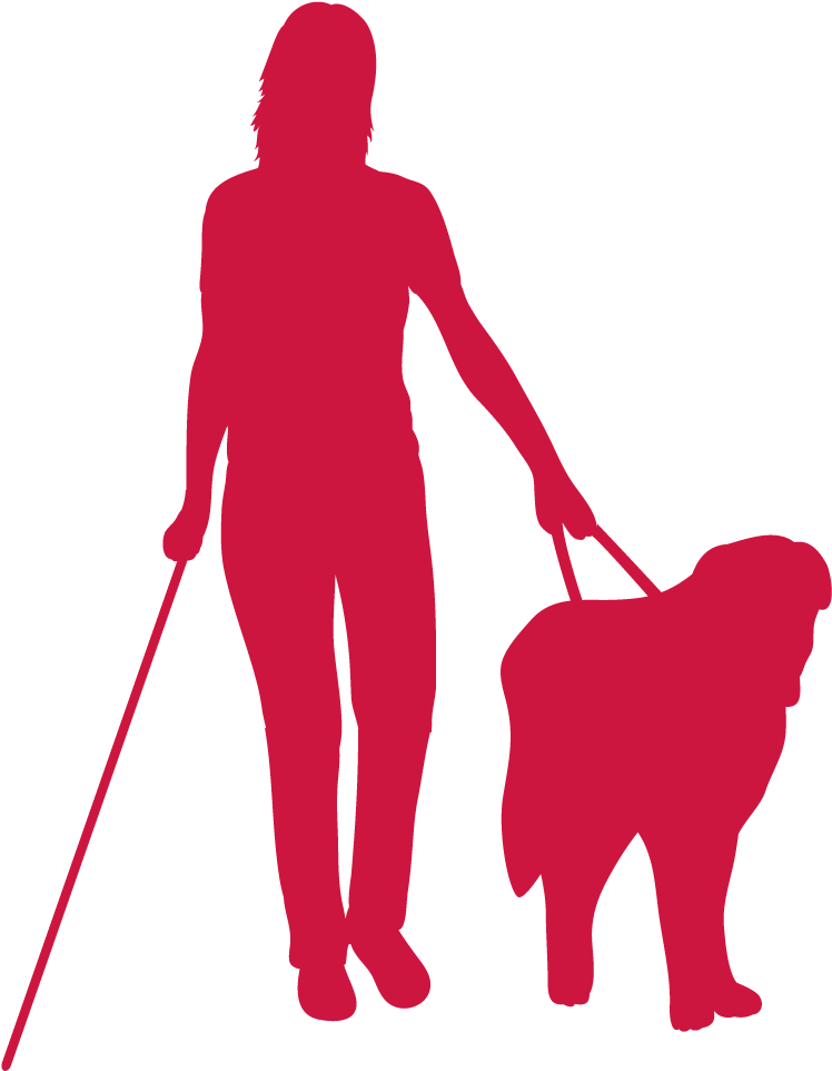Blind Woman And Dog Red - Dog Walking (991x991), Png Download