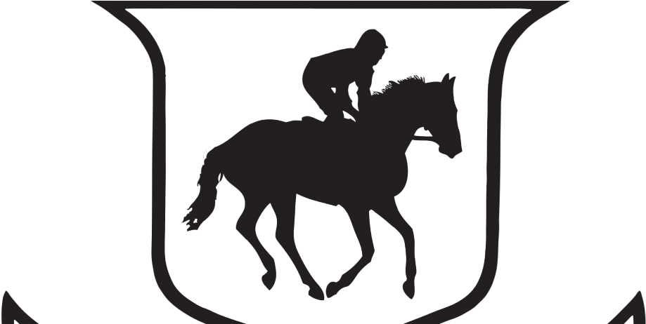 Santa Anita Park - Santa Anita Park Logo (993x461), Png Download
