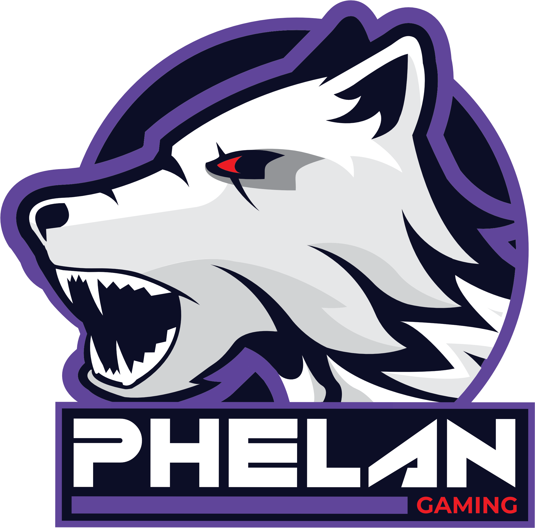 Bulldog Esports Vs - Phelan Gaming (2340x2226), Png Download