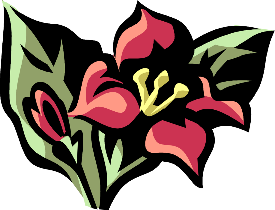 Svg Library Download Weigela Flowering Shrub Image (917x700), Png Download