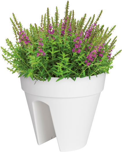 Home > Collection > Loft Urban Flower Bridge - Malaysia Indoor Plants (750x750), Png Download