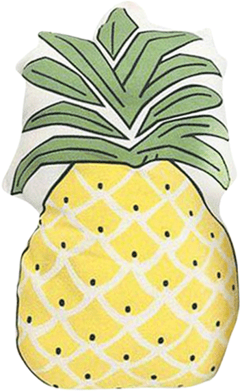 4 - Pineapple (600x600), Png Download