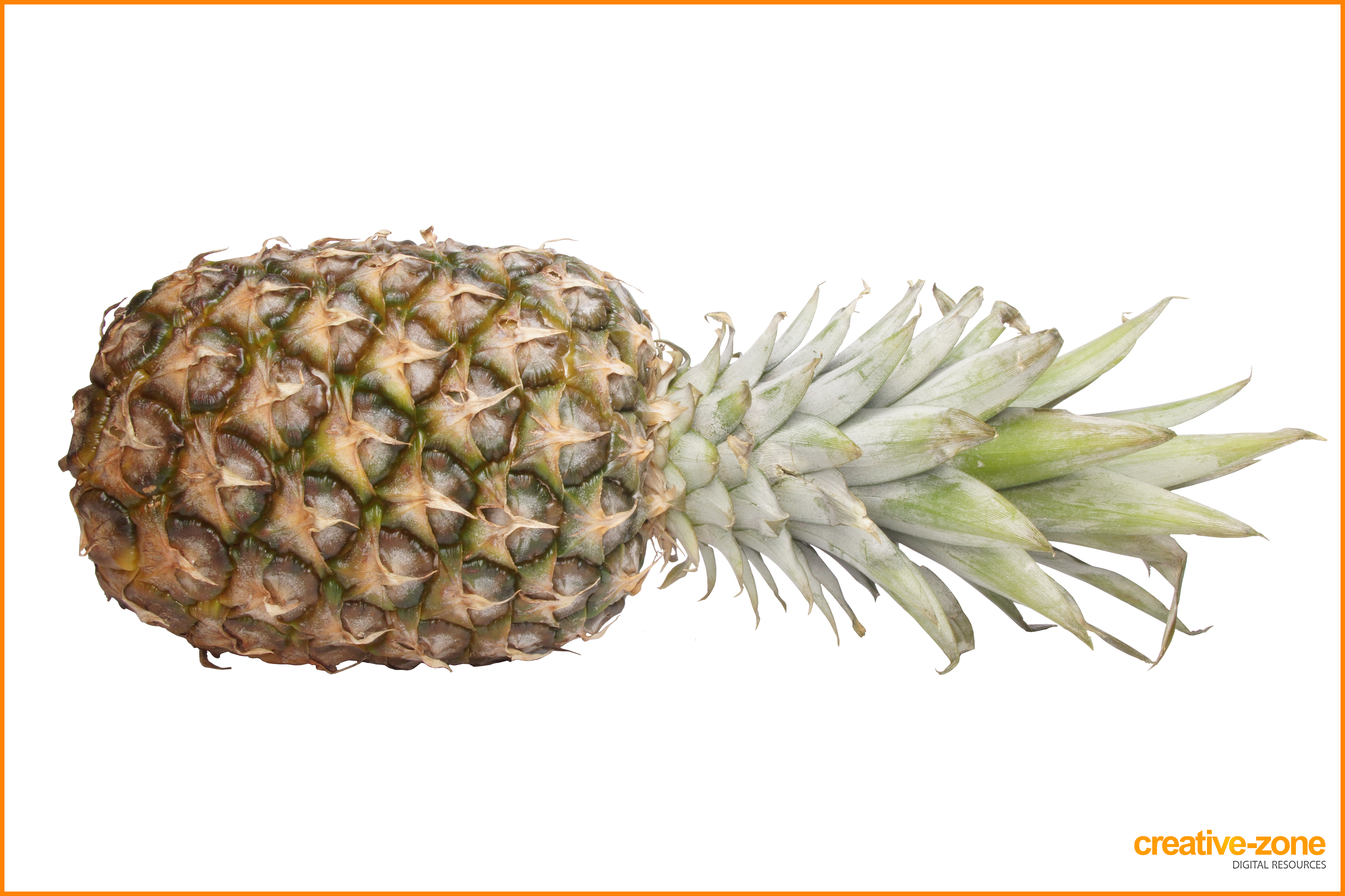 Pineapple, Without Background, Transparent - Pineapple With Transparent Background (6030x4020), Png Download