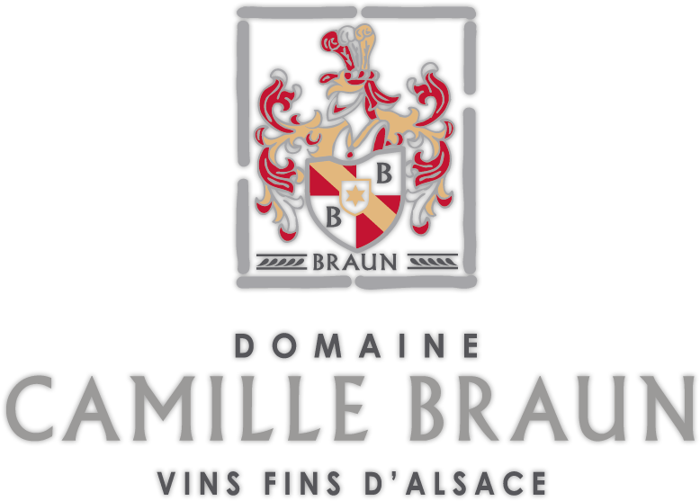 Domaine Camille Braun > - Indoor Games And Sports (800x600), Png Download