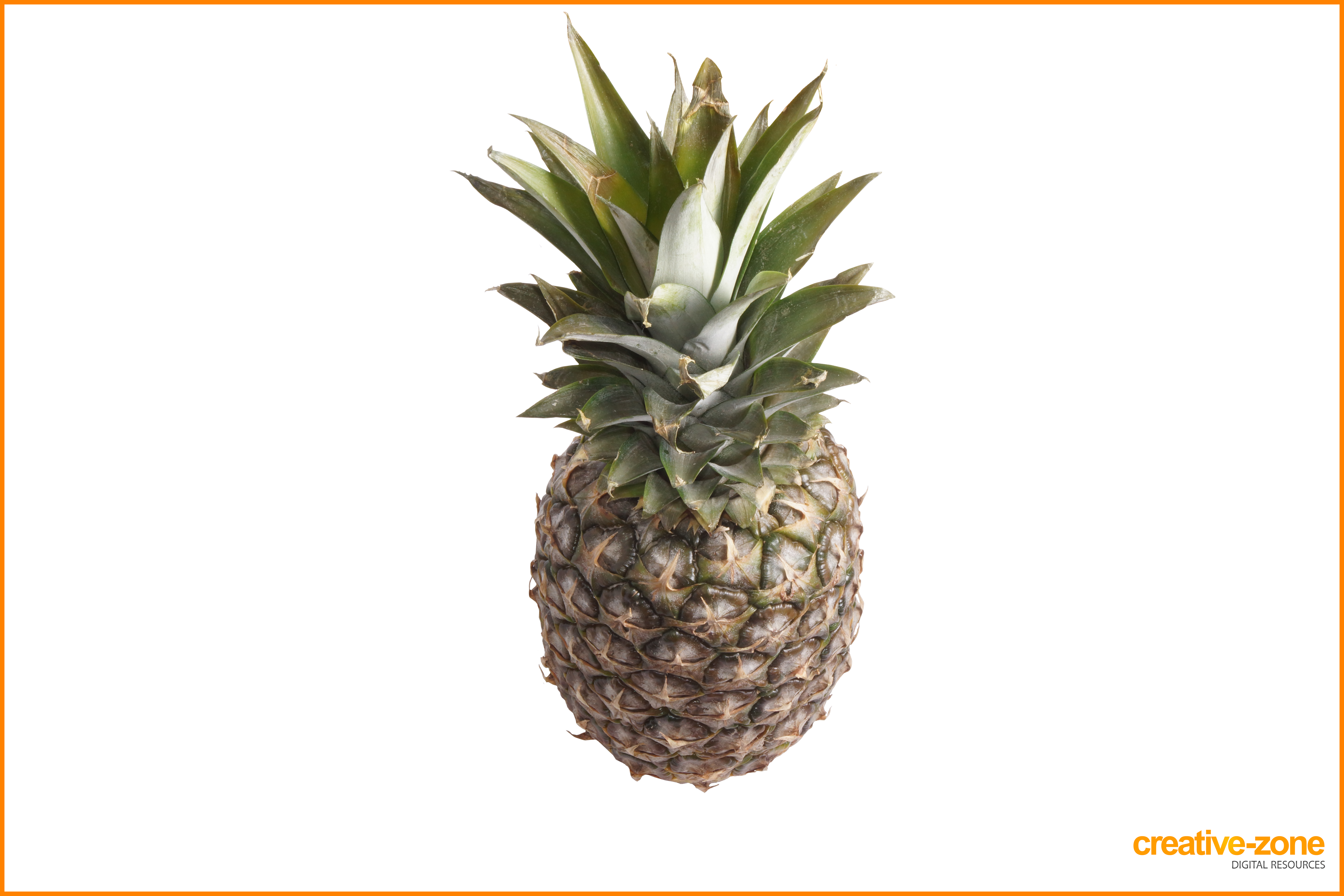 Pineapple Transparent - Pineapple (6030x4020), Png Download