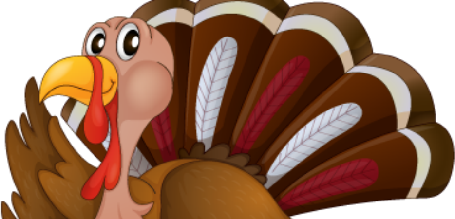 Thanksgiving Turkey Recipes - Turkey Vector (1075x449), Png Download