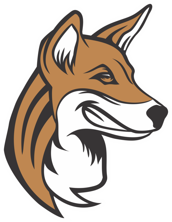 Why The Dingo - Red Fox (600x773), Png Download