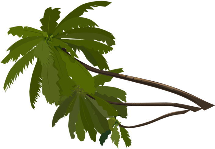 No Frame - Pacific Bleeding Heart (770x740), Png Download