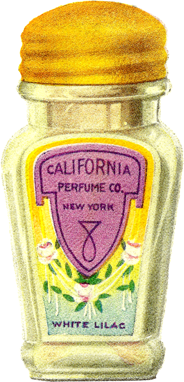 Jpg Black And White Download Antique Images Vintage - Bottle (1020x1600), Png Download