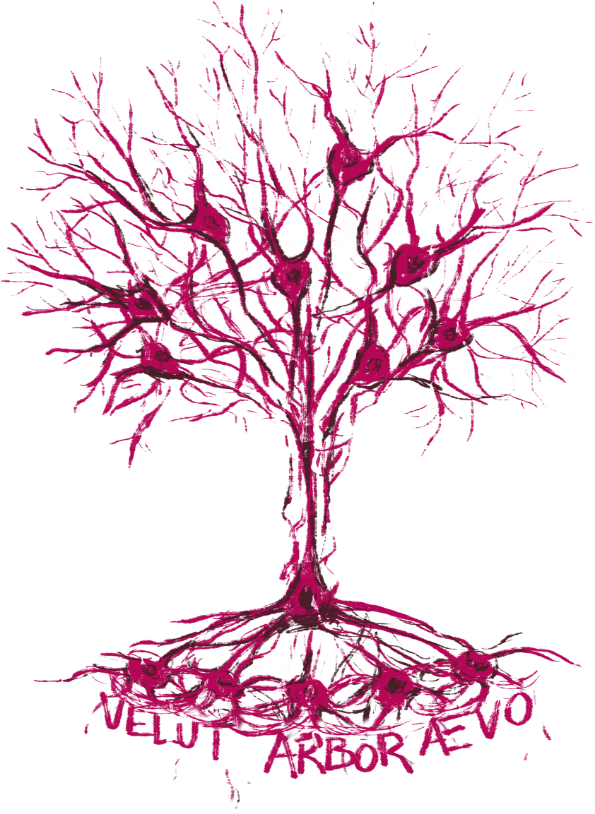 Getting The Neurons Firing - Illustration (940x1216), Png Download