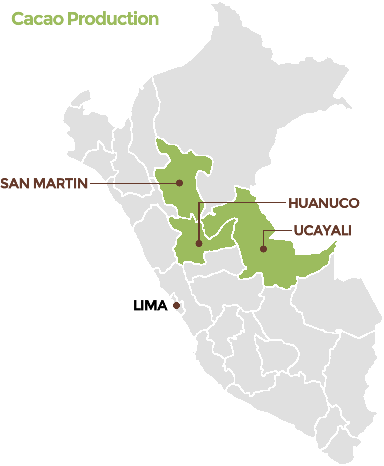 Organiccrops Cacao Production In Peru - Peru Silhouette (933x943), Png Download