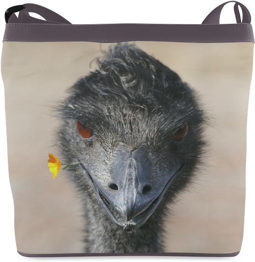 Emu (800x800), Png Download