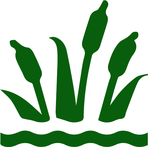 Christmas Tree Icon - Wetland Icon (626x625), Png Download