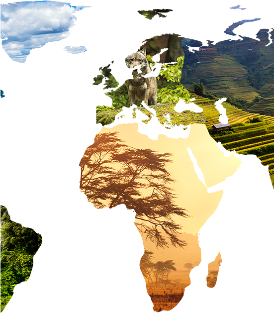 7m Slider Close 16 Oct 2018 - Union Of Socialist Eurasia (550x738), Png Download