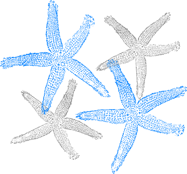 Original Png Clip Art File Starfish Prints Svg Images (600x559), Png Download
