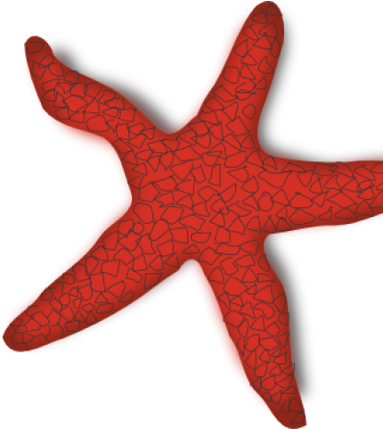 Starfish Clip Art (640x480), Png Download