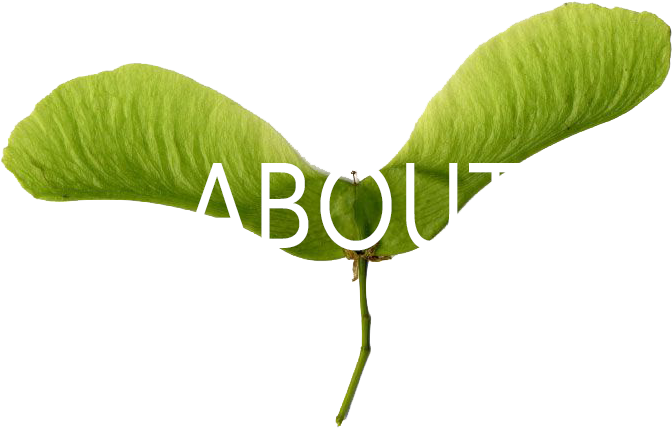About Green Propeller About Green Propeller (732x500), Png Download