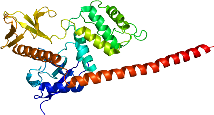Protein Msn Pdb 1e5w - Moesina (792x450), Png Download