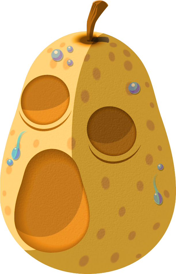 Hyoi-pear - Fruit Miam Miam Wind Waker (611x950), Png Download