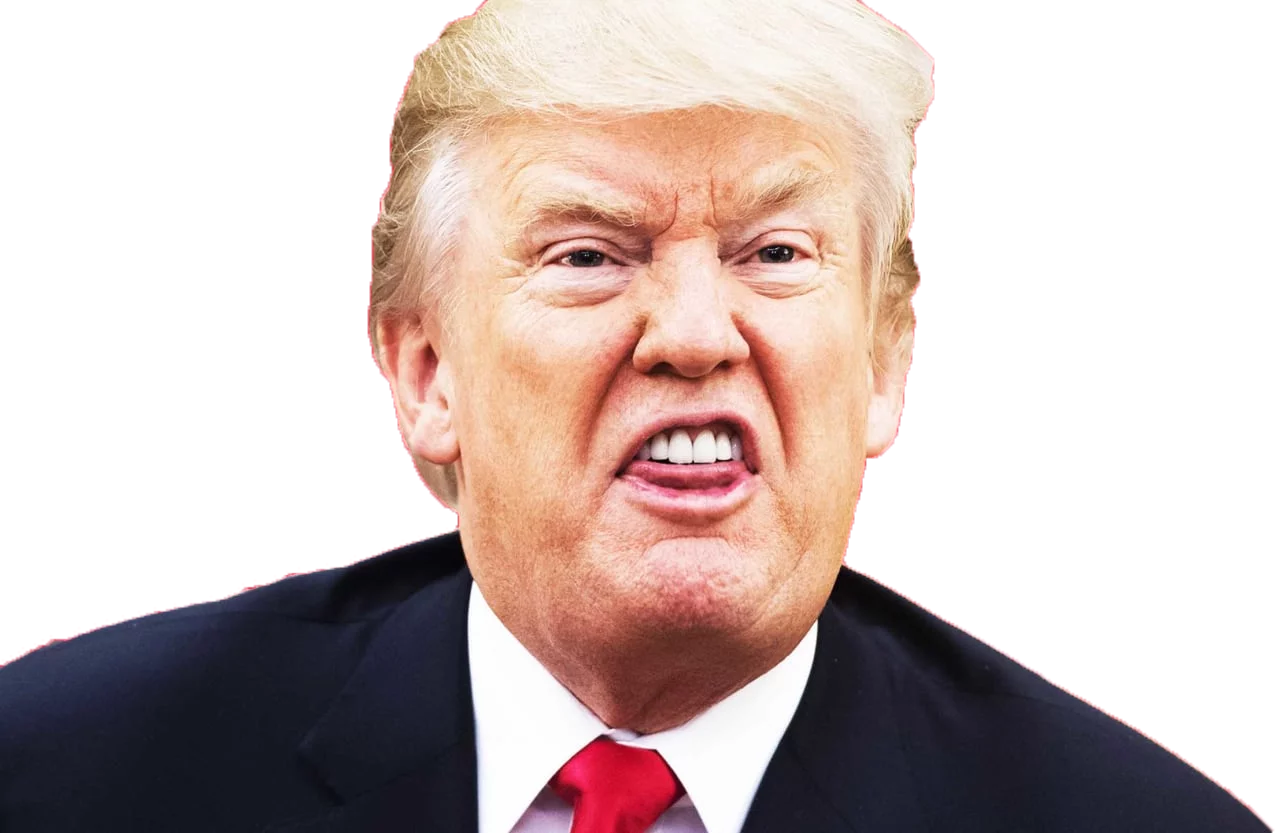 First He Came For The Mexicans, And I Did Not Speak - Stupid Trump Face (1275x833), Png Download