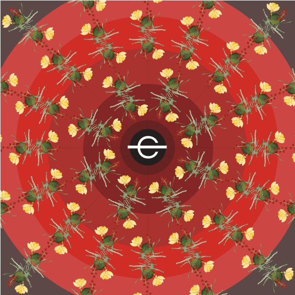 Product22 - Circle (599x800), Png Download