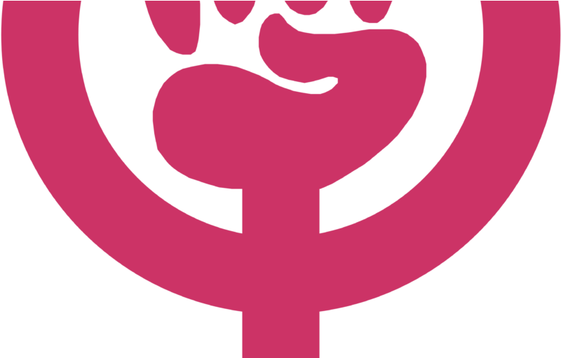 Feminist Issues And Men's Issues Are Not Mutually Exclusive - Feminist Heart Symbol (825x510), Png Download