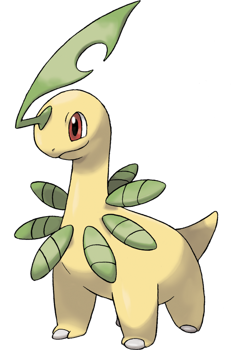 Bayleef - Ash All Pokemon Single (1200x1200), Png Download