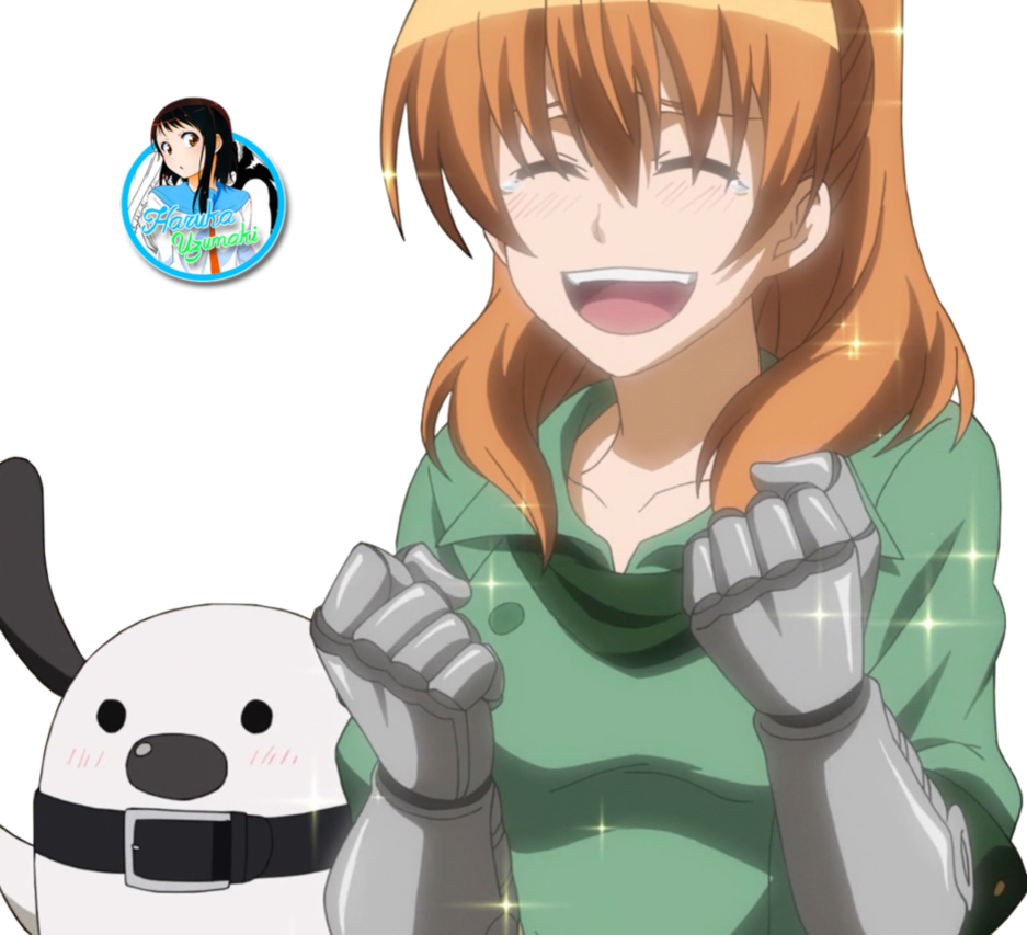 Seryu Render 2 By Haruka-uzumaki - Akame Ga Kill Seryu Png (937x853), Png Download