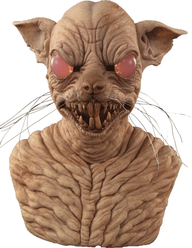 Mortimer The Rat - Minskin (772x1000), Png Download