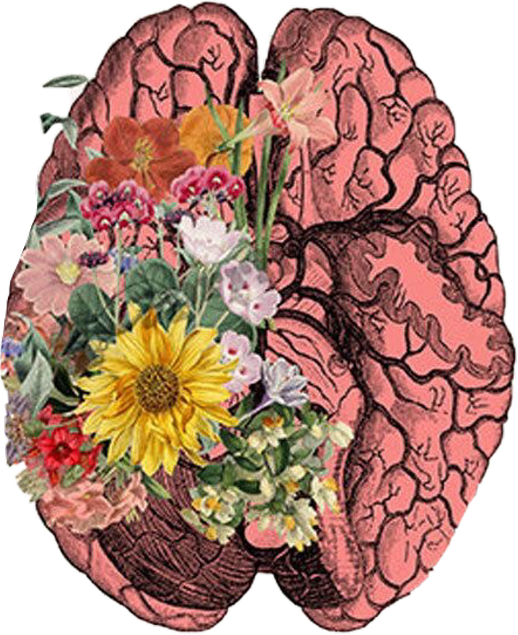 #brain #cerebro #art #flores #freetoedit - Brain And Flower Art (1024x1256), Png Download