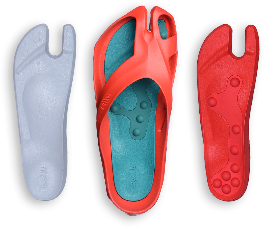 Slipper (1545x1030), Png Download