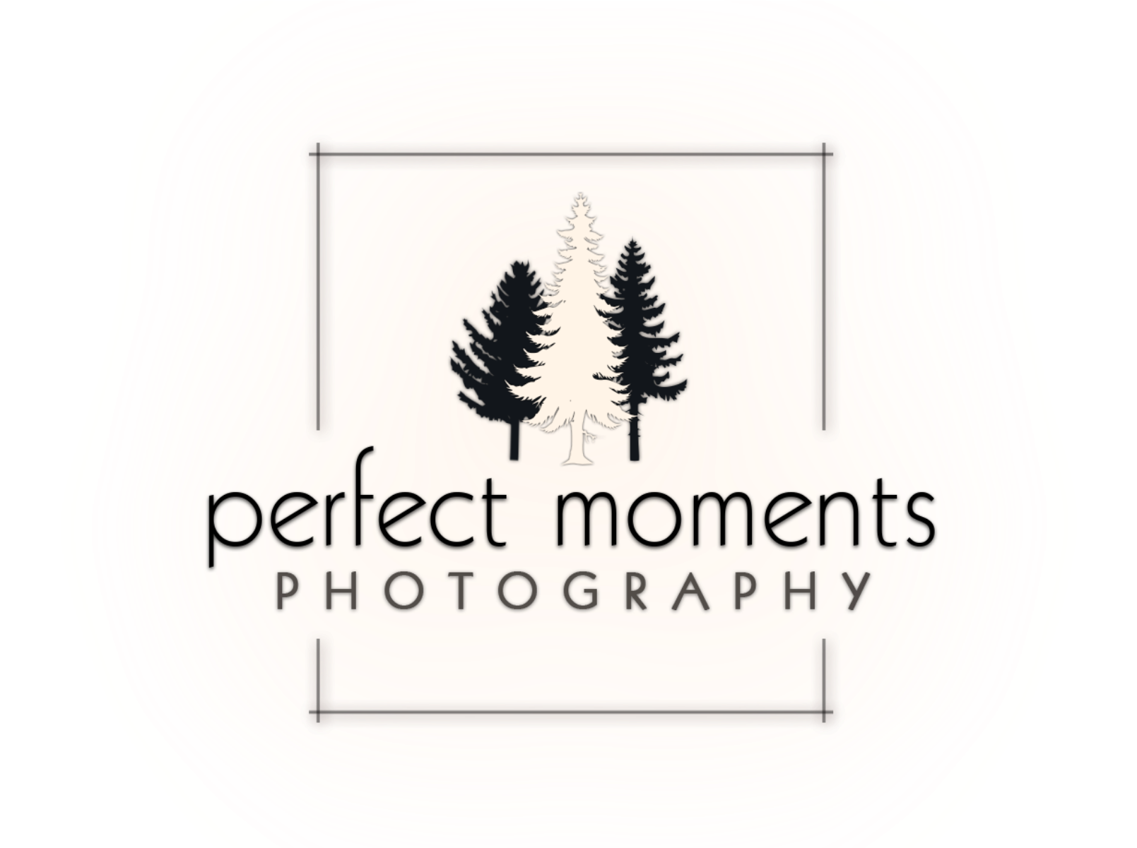 Cropped Pmwstall 1 - Araucaria (2000x1200), Png Download