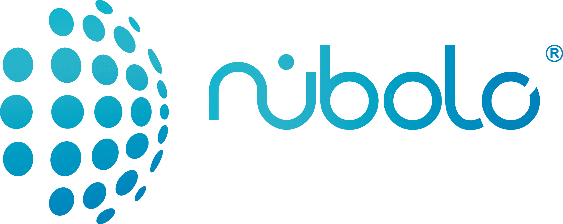 Nubolo Nubolo - Ejewishphilanthropy (2244x894), Png Download
