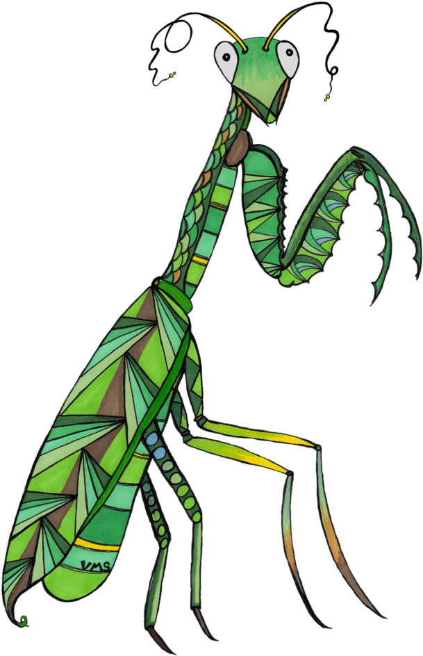 Avel The Patient Praying Mantis (1000x1000), Png Download