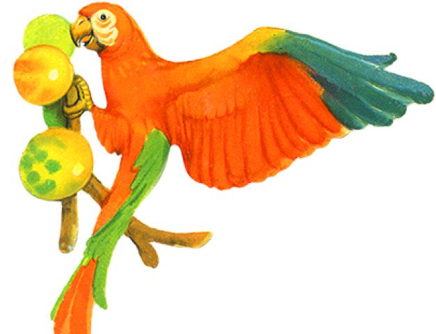 Parrot (640x480), Png Download