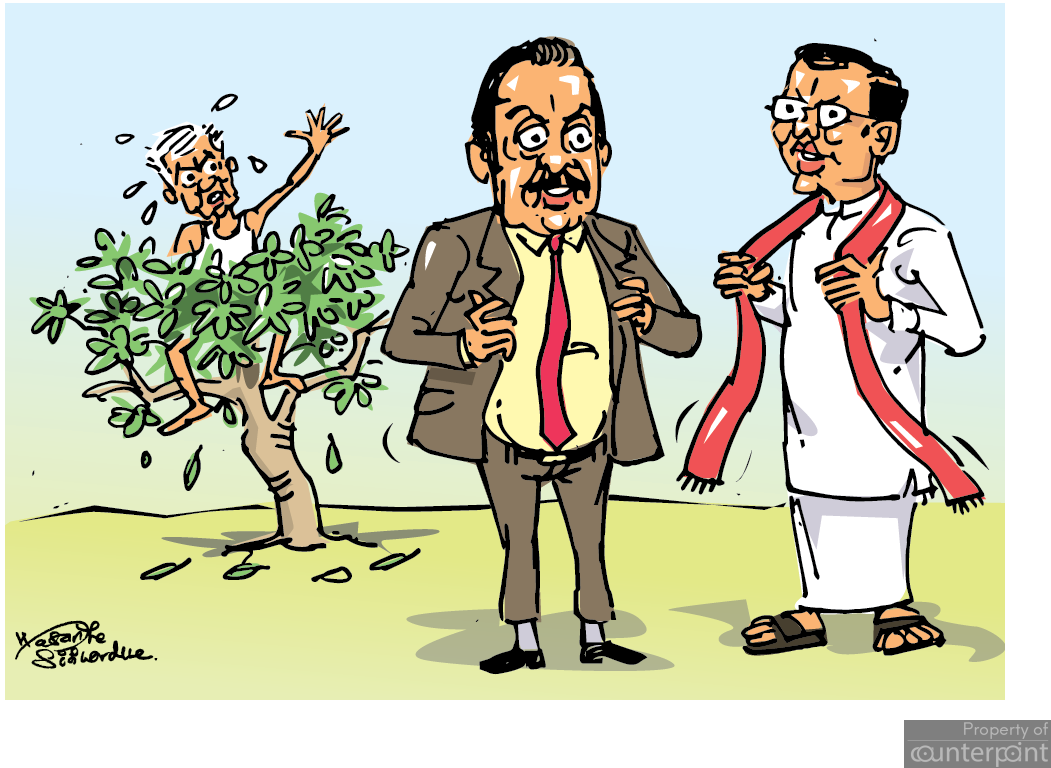 Comic Strip - Wasantha Siriwardena - Cartoon (1051x768), Png Download