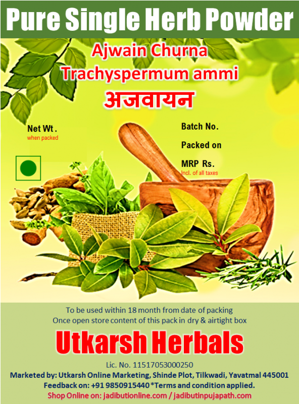 अजवान Trachyspermum Ammi - Poster (800x800), Png Download