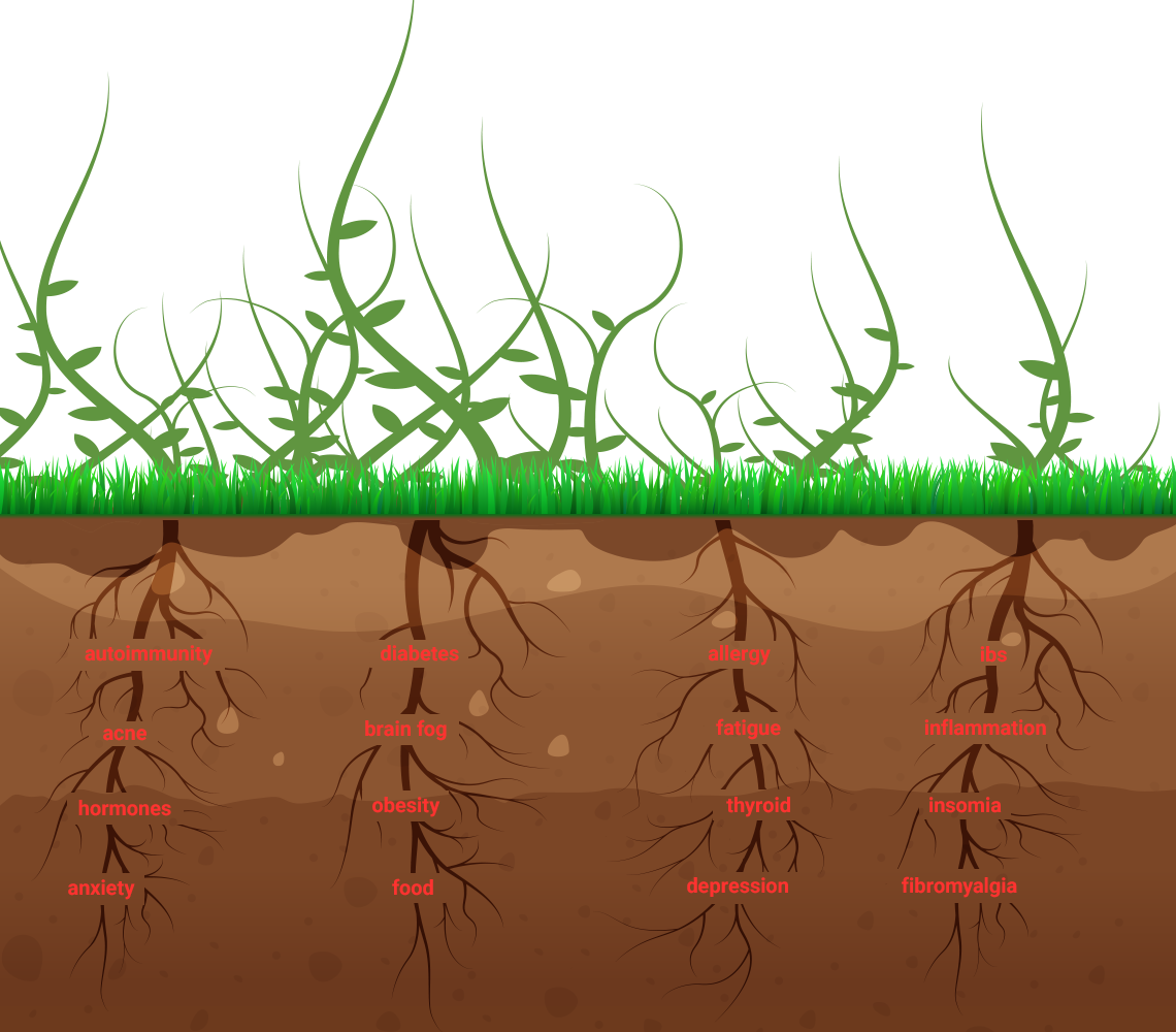 Differences Between Fm & Tm - Grass (1140x1000), Png Download